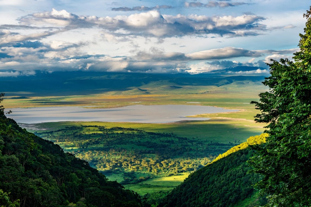 Wildlife and scenery in Ngorongoro Crater on Day 4