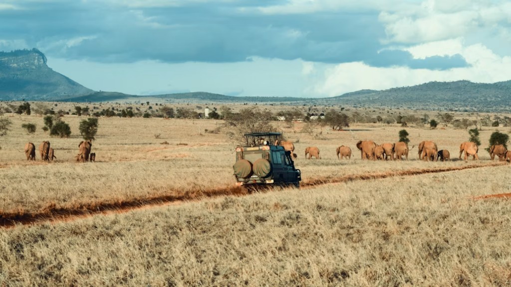 Safari vehicle among elephant herds in Tarangire National Park � Day 2