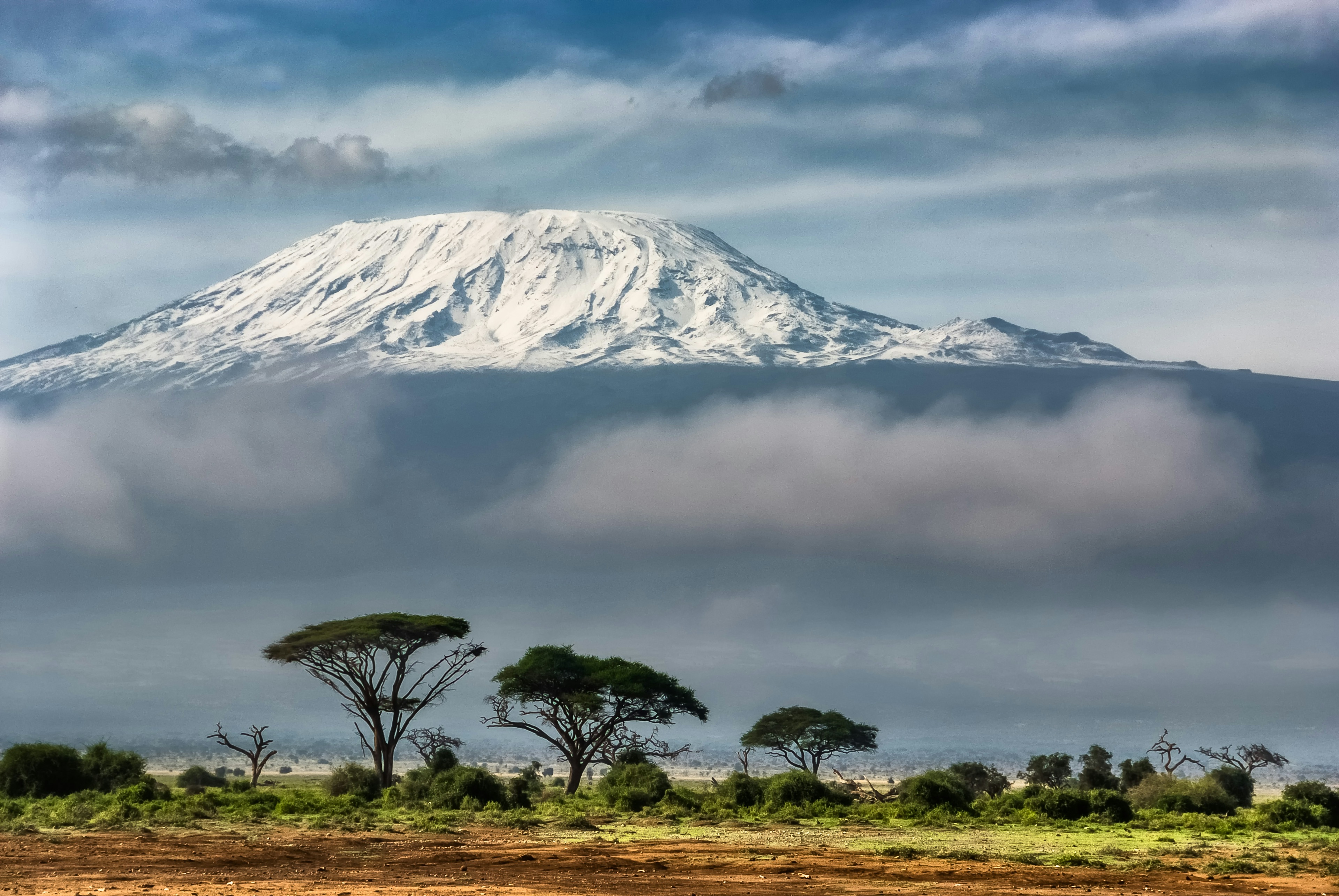 Trekking trail through moorland toward the snow-capped summit of Mount Kilimanjaro on the Lemosho Route