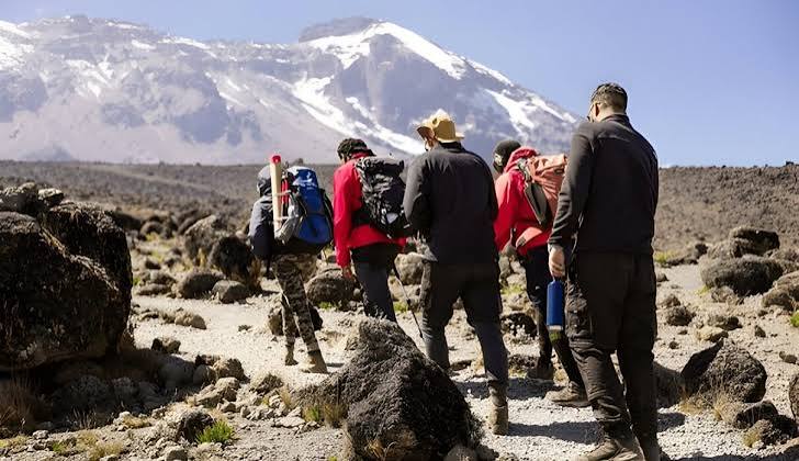 Trekkers ascending the Marangu Route trail through alpine moorland