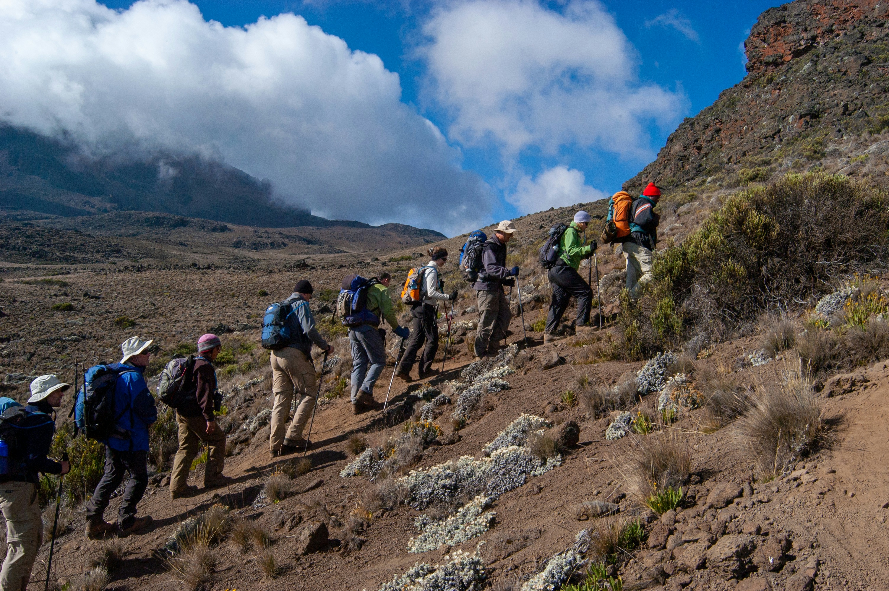 Hikers on the Rongai Route across Kilimanjaro's northern slopes